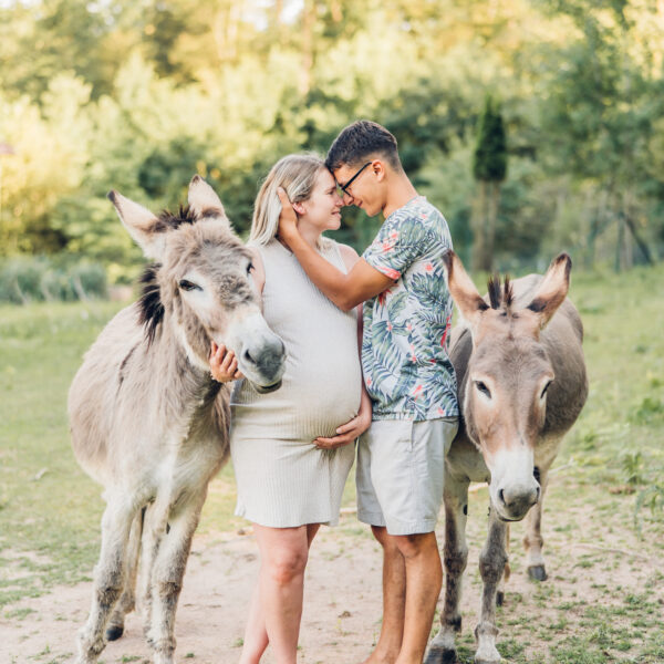 Die Esel sind immer mit dabei