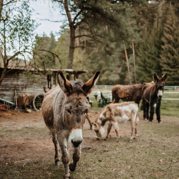 31 - Isabell_Kauther_Fotografie-31