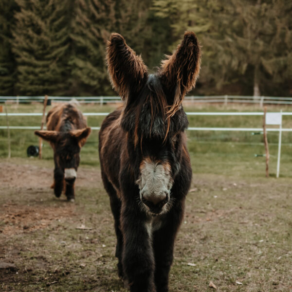 32 - Isabell_Kauther_Fotografie-32