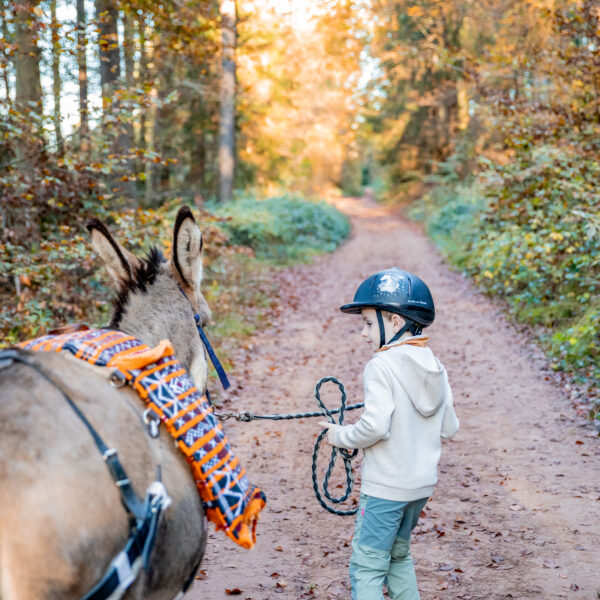 Kind führt Esel