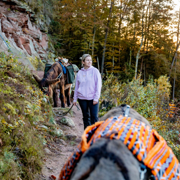 Eselwanderung am Büttelfels