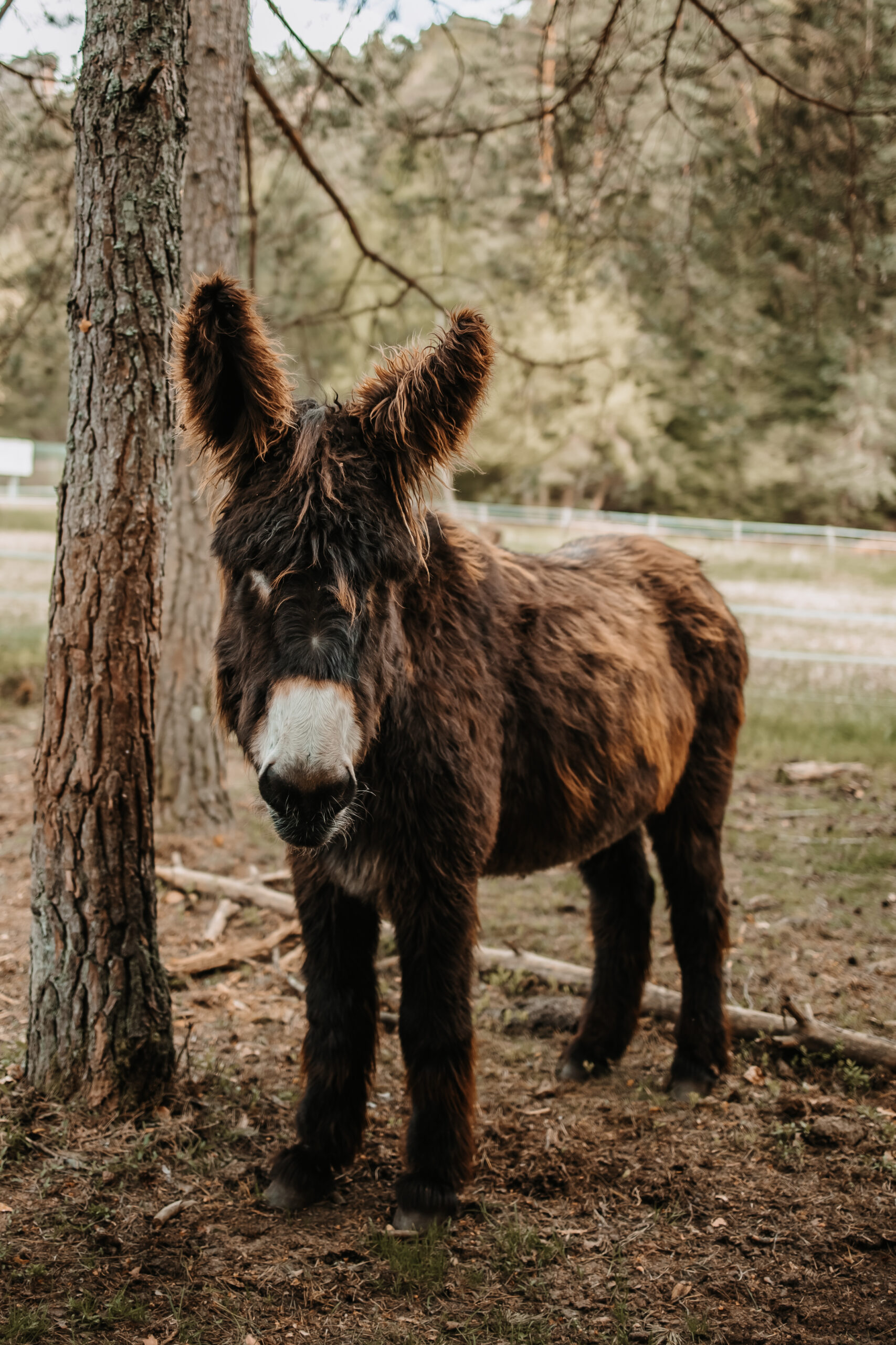 51 - Isabell_Kauther_Fotografie-51