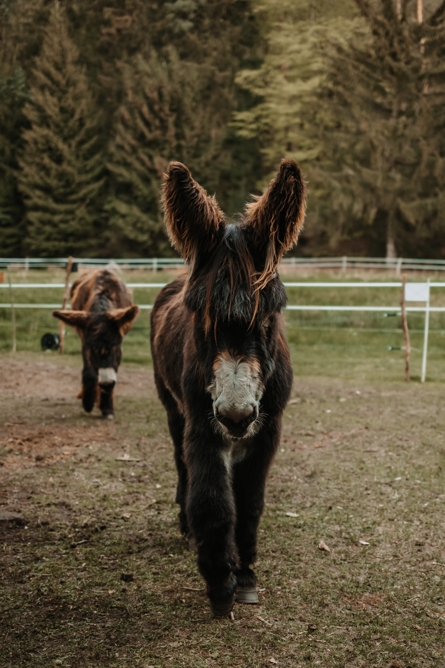 Isabell_Kauther_Fotografie