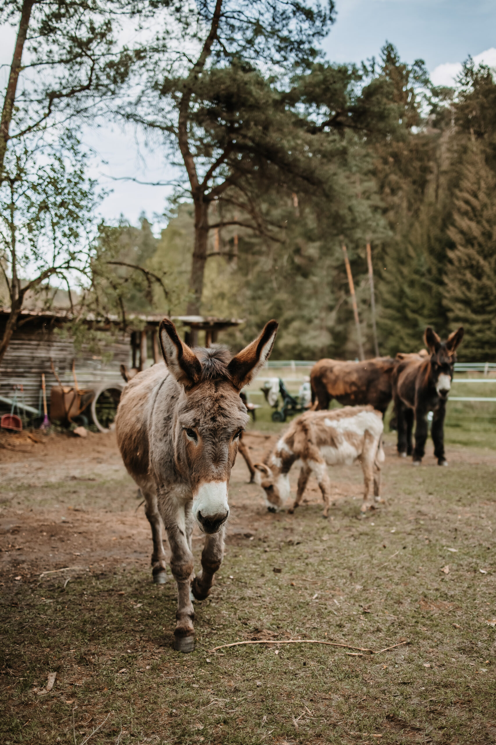Isabell_Kauther_Fotografie-scaled