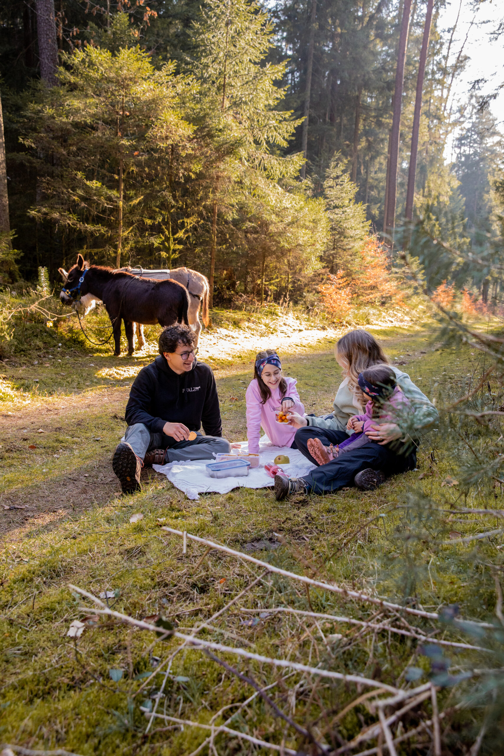 Picknick mit Esel